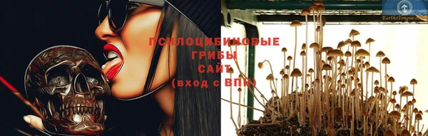 прущий лед Лагань