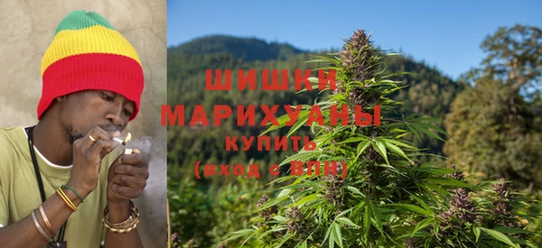 метадон Ладушкин