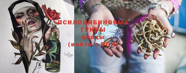 прущий лед Лагань