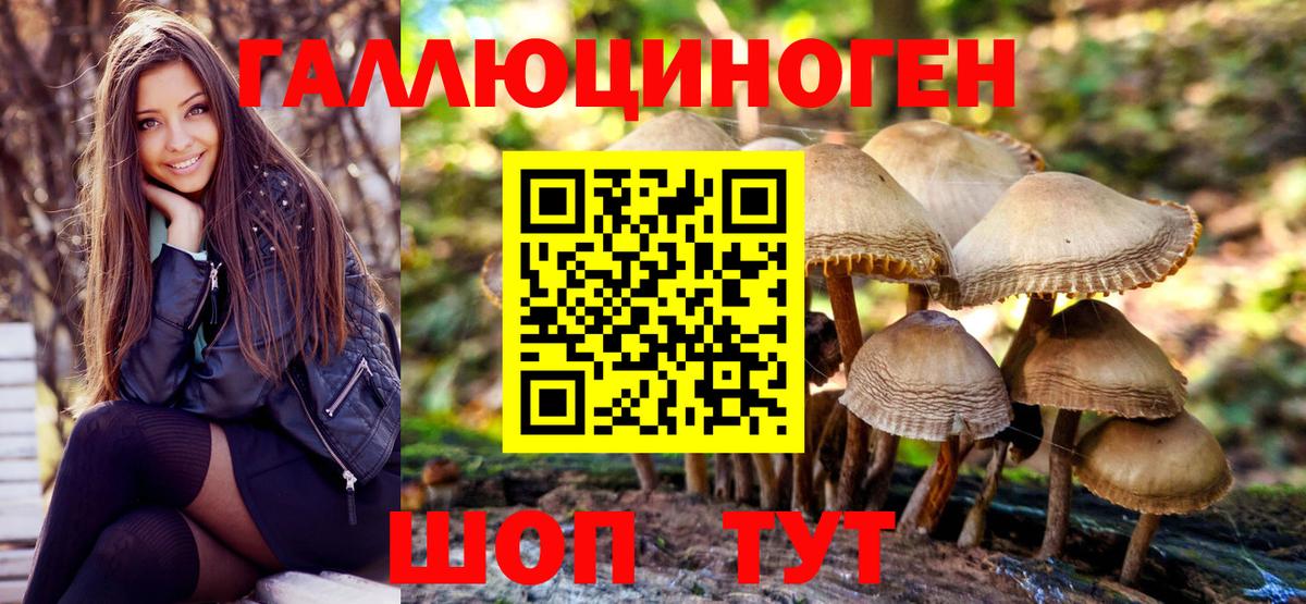 купить наркотики цена  Псилоцибиновые грибы мухоморы  Клинцы  Вход с VPN  Псилоцибиновые грибы MAGIC MUSHROOMS 